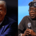 LA MINACCIA MILITARE USA ALLA NIGERIA: TRA PROTEZIONE RELIGIOSA, SOVRANITÀ E INSTABILITÀ
