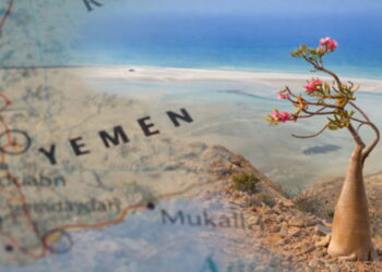 SOCOTRA, L’ISOLA OSTAGGIO